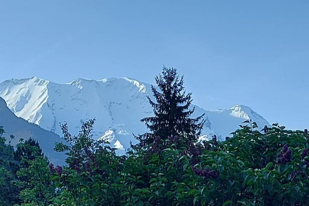 Appartement Dans Chalet - 75 M2 - 4 A 6 Personnes Saint-Gervais-les-Bains Esterno foto
