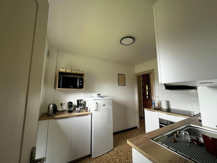 Appartement Dans Chalet - 75 M2 - 4 A 6 Personnes Saint-Gervais-les-Bains Esterno foto